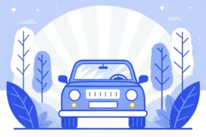 Plaque belge : réglementation, personnalisation et évolution